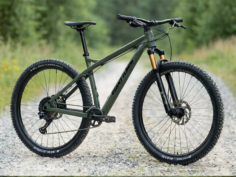 Giant Talon 2 — Medium (2024)